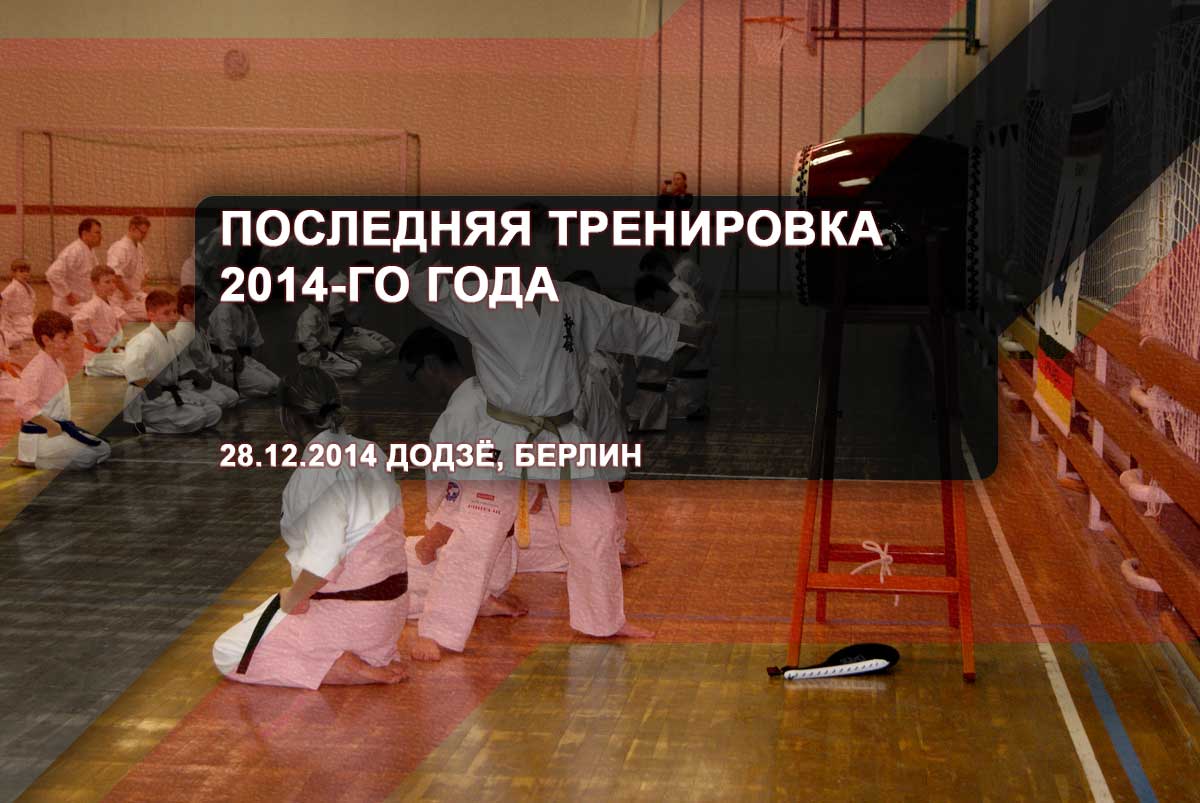 Последняя тренировка 2014-го года – 28.12.2014 Додзё, Берлин