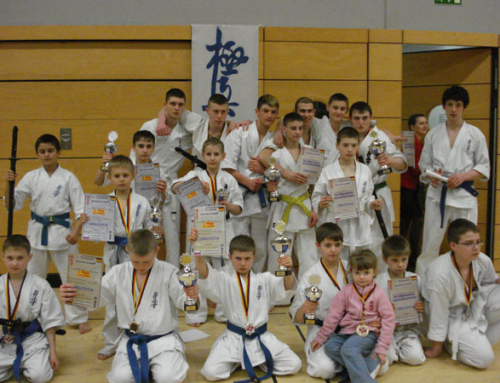 1-й Чемпионат Германии  федерации Kyokushin-Kan Karate  – марта 2008 года.  Германия – Берлин