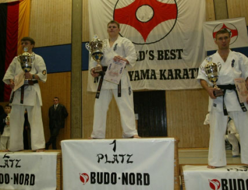 Международный Чемпионат по Kyokushinkai Karate