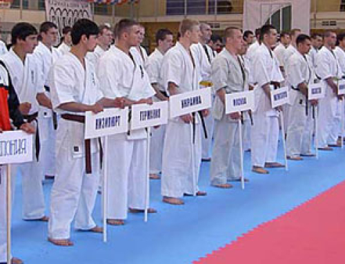 Кубок Наций по Kyokushin Kan Karate